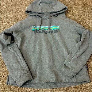 Kids Patagonia hoodie Size Child Small; fits like a medium. Excellent condition